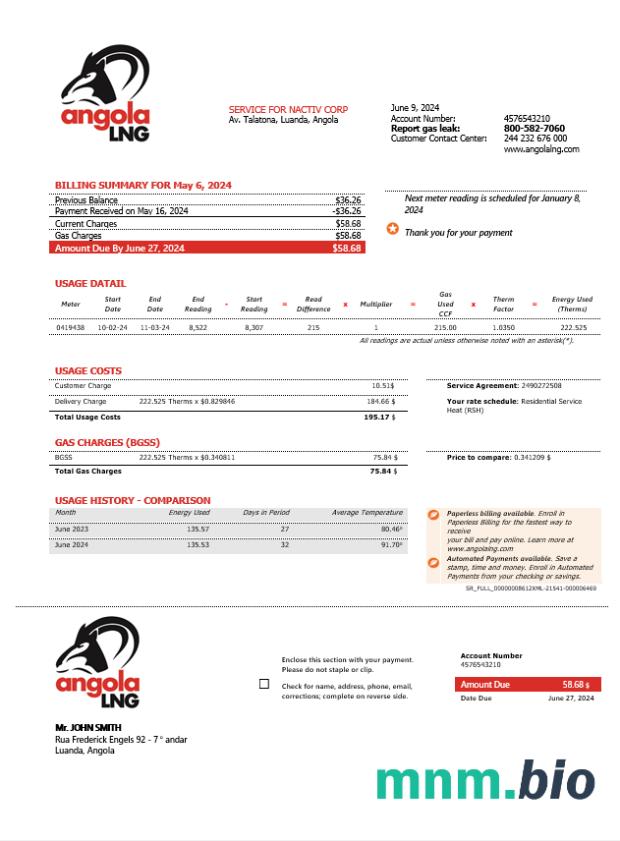 Angola LNG dowód adresu rachunek za usługi komunalne szablon w formacie Word i PDF